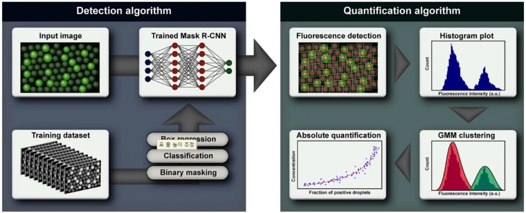 Deep Learning-Assisted Droplet Digital PCR for Quantitative Detection of Human C...