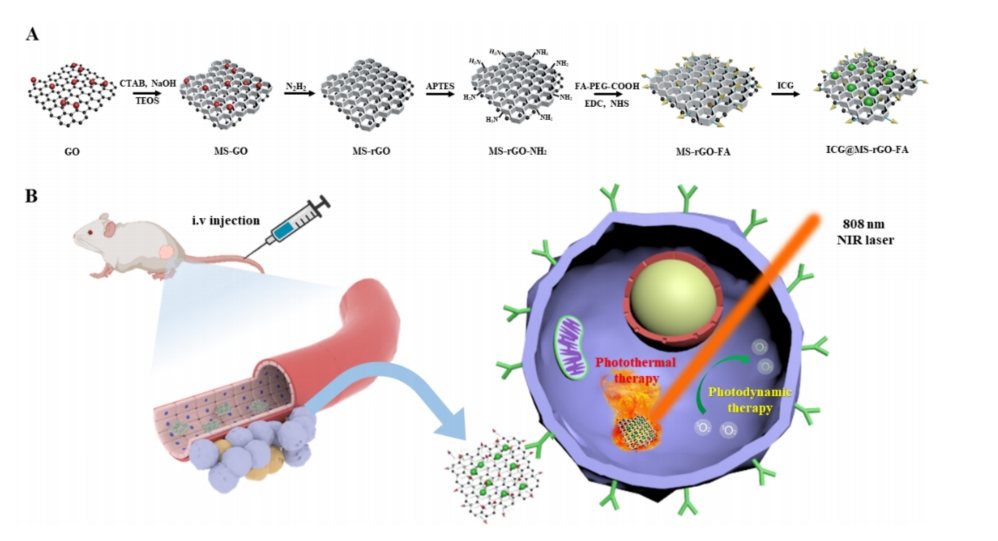 Near-Infrared Light-Triggered Generation of Reactive Oxygen Species and Inductio...