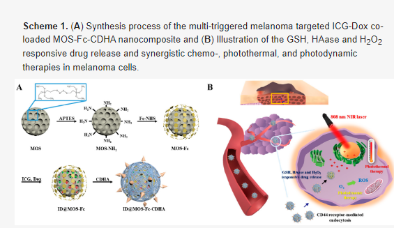 Antioxidant Enzyme and H2O2-triggered Melanoma Targeted Mesoporous Organo-Silica...