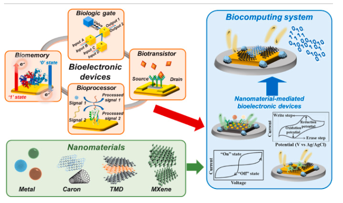 Recent progress in nanomaterial-ba<x>sed bioelectronic devices for biocomputing ...