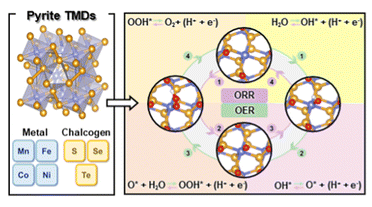 Catalytic activity trends of pyrite transition me<x>tal dichalcogenides for oxyg...