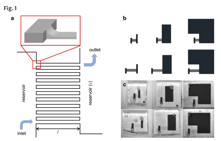 Microfluidic Device to Maximize Capillary Force Driven Flows for Quantitative Si...